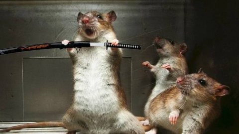 PUBG: 💙 игра на PC. ПУБГ🖤Battlegrounds