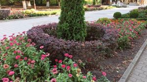 Рассказываю о причине отсутствия меня на канале.