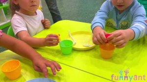 «Оживи бумажную гусеницу» эксперимент Funny Ant Malahovka