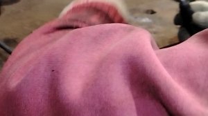 Реставрация фигурки. Часть первая