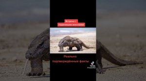 встреча с подземными монстрами