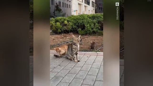 Счастливое материнство смотреть онлайн