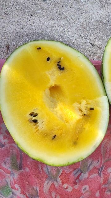 Дешевый Желтый Арбуз и погода в Ейске. Канал Математика бесплатно. @tutsi-dieti смотреть онлайн