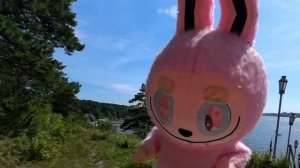 Лабубу Поздравление Новосибирск