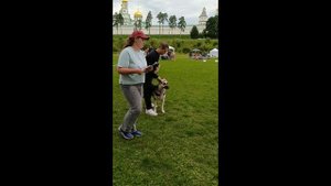 Сравнение на ЛПП