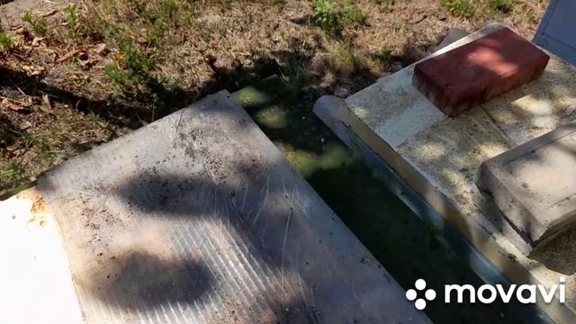 КОНЕЦ СЕЗОНА 2025🐝 #ПЧЕЛЫ #пасека #пчеловодство смотреть онлайн