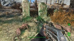 Сенкчуари и начало квеста Дорога домой