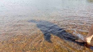 Обитель антициклона