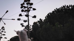 Худыша встретил настоящее чудо природы