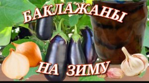 Баклажаны на зиму. Рецепт из баклажанов. Вкуснейшая заготовка из баклажан на зиму