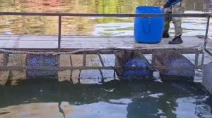 87963e66-2eb2-413d-82d0-89e3c9775a58