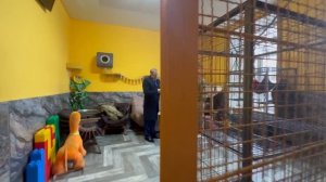 НЕВОЗМОЖНО!!! Мы с Владом теперь кормим дома САМЫХ СВИРЕПЫХ зверей, которые ежегодно убивают людей!