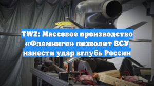 TWZ: Массовое производство «Фламинго» позволит ВСУ нанести удар вглубь России
