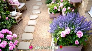 Как красиво посадить цветы во дворе и на участке фото идеи для вдохновения (77)