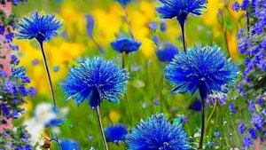 Доброе утро от души - Музыкальные открытки