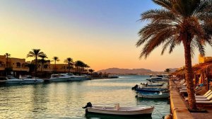 Стандартное утро в Хургаде