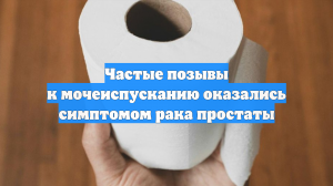 Частые позывы к мочеиспусканию оказались симптомом рака простаты