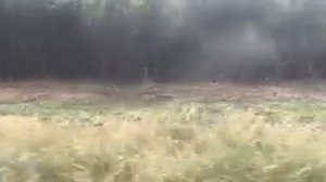 Тула-Калуга из окна поезда. Часть 3. Поющие рельсы, лес и интересные постройки под стук колес