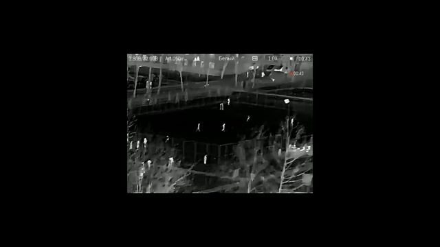 Тепловизионный Прицел SFH VARG L25.САМЫЙ БЮДЖЕТНЫЙ ТЕПЛОВИЗОР НА РЫНКЕ!