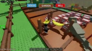 grow up garden opened eggs and box and in the boxes just something