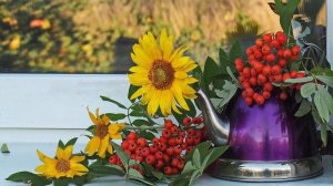 Сегодня утро наступило