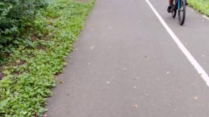 Прогулка по Измайловскому парку. Очень интересный видос про лесное путешествие.