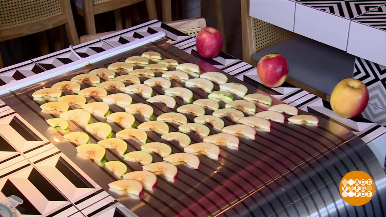 Время заготовок: выбираем сушилку для овощей и фруктов. Доброе утро. Фрагмент выпуска от 22.08.2025