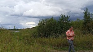 Сквозь тернии