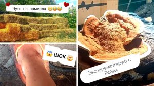 ЧТО ЗА .....‼️ОТКУДА СТОЛЬКО 😱🤯. ЛЮЦЕРНУ купили  - ДОРОГО 💲, но МНОГО 😁