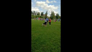 СА Отважная Китнэсс