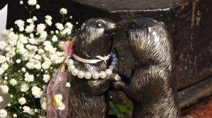 Программа "Главные новости" на 8 канале от 22.08.2025 Часть 1