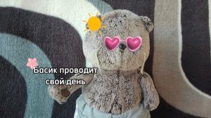 Басик проводит свой день