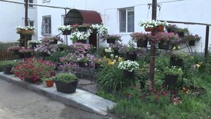 В администрации города наградили победителей и призеров смотра-конкурса «Шадринские дворики»