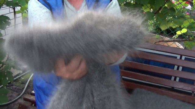 +79507716355 Платок, большой платок и плед. Всё связано из отборного пуха. Натуральные, ручная работ