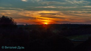 Ярмарка в Центральном парке 16 августа 2025 год