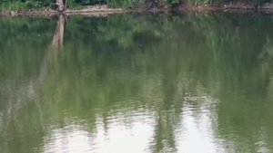 ПРИРОДА ЛЕЧИТ БОЛЬ УКРАДКОЙ.. ЛЕГКО КАСАЕТСЯ ДУШИ... И НЕРАЗГАДАННОЙ ЗАГАДКОЙ ЕЁ НАПЕВ ЗВУЧИТ В ТИШИ