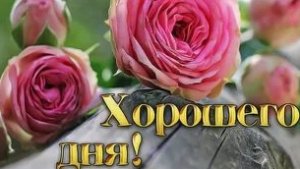 Хорошего дня. Музыкальная открытка поздравление.