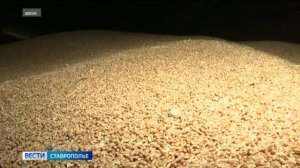 «Вести. Ставропольский край» 22.08.2025