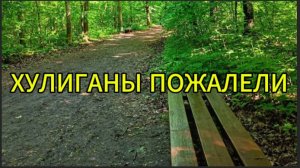 Хулиганы пожалели, что связались с пятилетней малышкой