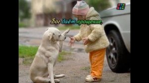 Даром Бог даёт прощение