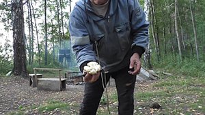 Грибные денечки Сибирского лета. Грибы и Рыбалка всегда рядом