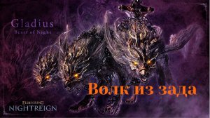 Последний Владыка вечной тьмы Гладий. ER Nightreign