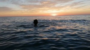 Закат в Николс Сити.