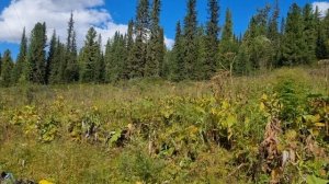 Арадан 2025 окончание