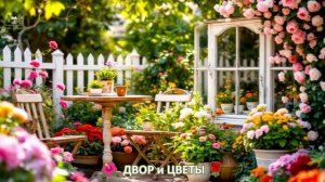 Как красиво посадить цветы во дворе и на участке фото идеи для вдохновения (62)