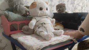 вечер Басиков