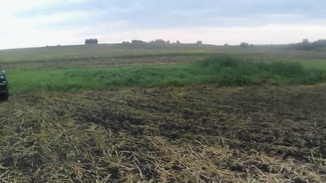 Мотоблок Скаут.  Фрезеровка пара по горчицей.