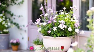 Как красиво посадить цветы во дворе и на участке фото идеи для вдохновения (75)