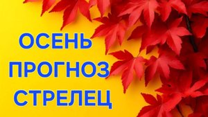 СТРЕЛЕЦ. ТАРО ПРОГНОЗ НА ОСЕНЬ