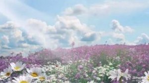 Ой  не вечер